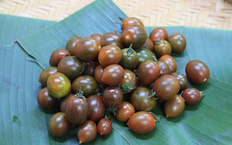 Cà chua socola