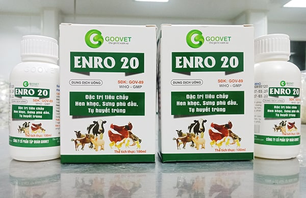 ENRO 20-min