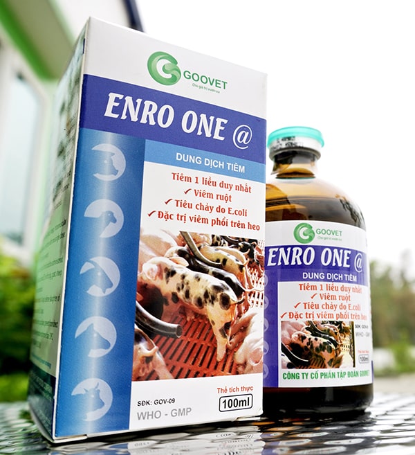 ENRO ONE -min