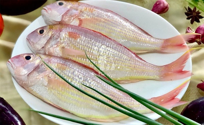 Cá hường