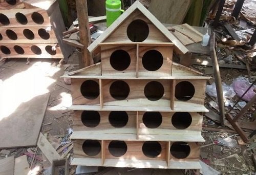 Cách làm chuồng nuôi bồ câu đúng kỹ thuật-2