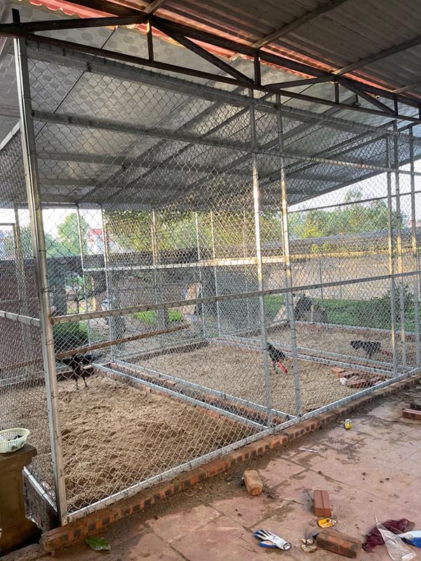 chuồng gà bằng sắt đẹp