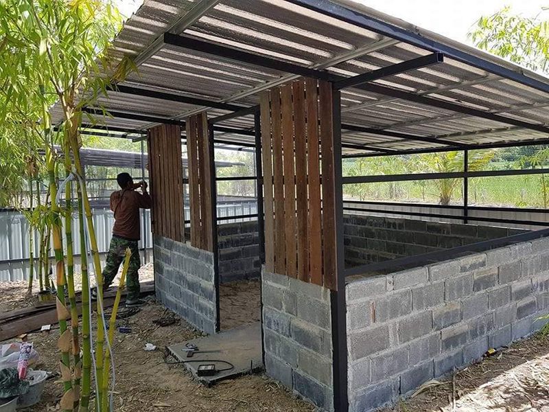 mẫu chuồng gà đẹp tham khảo