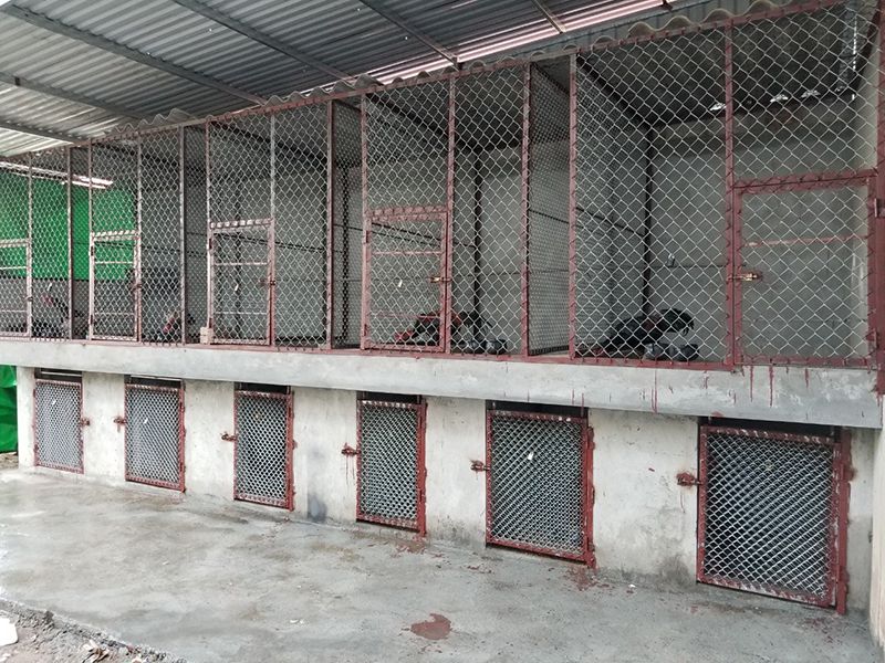 mẫu chuồng gà sân thượng đẹp