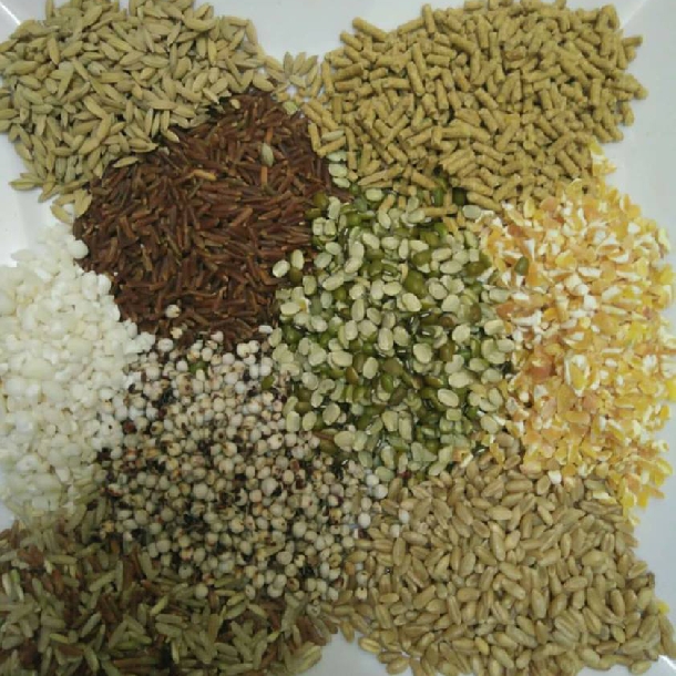 Thức ăn đậm đặc cho gà
