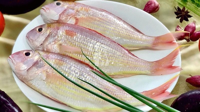 Cá hường