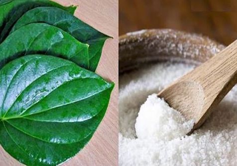 Hướng Dẫn Cách Chữa Hen, khò khè Cho Gà Chọi - 100% Khỏi