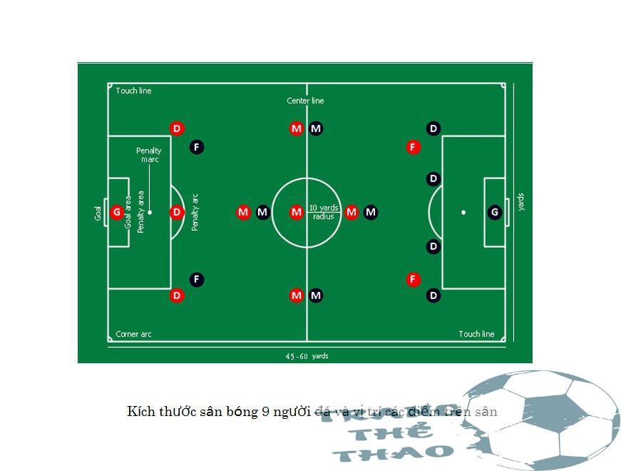 Kích thước sân bóng đá 9 người - Tiêu chuẩn FIFA