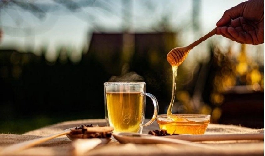 8 cách phân biệt mật ong rừng và mật ong nuôi đơn giản, chính xác nhất