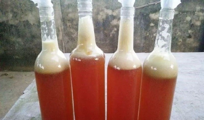 8 cách phân biệt mật ong rừng và mật ong nuôi đơn giản, chính xác nhất
