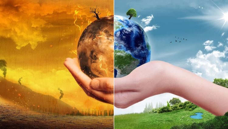 Phân Trung Vi Lượng Là Gì? Cách Sử Dụng Và Ứng Dụng Phân Trung Vi Lượng Trong Nông Nghiệp