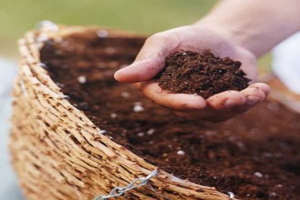 Phân Trung Vi Lượng Là Gì? Cách Sử Dụng Và Ứng Dụng Phân Trung Vi Lượng Trong Nông Nghiệp
