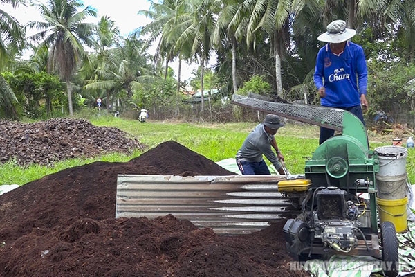 Phân Trung Vi Lượng Là Gì? Cách Sử Dụng Và Ứng Dụng Phân Trung Vi Lượng Trong Nông Nghiệp