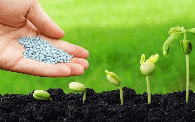 Phân Bón Vô Cơ Là Gì? Thành Phần, Ưu Điểm, Nhược Điểm & Sử Dụng