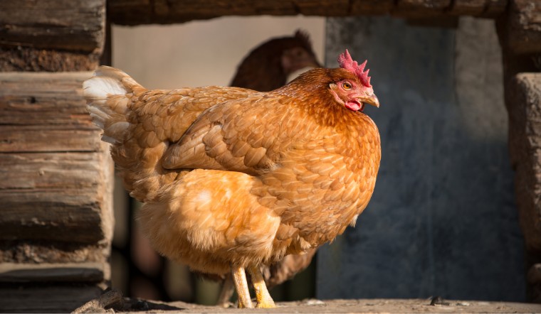 Cách đánh bida phăng Kỹ thuật, góc đánh và chiến thuật hiệu quả
